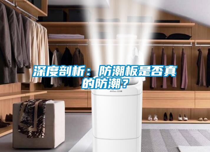 深度剖析：防潮板是否真的防潮？