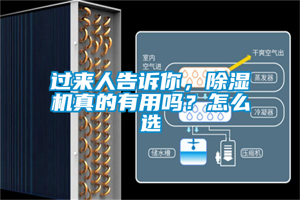 過來人告訴你，除濕機(jī)真的有用嗎？怎么選