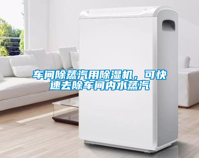 車間除蒸汽用除濕機，可快速去除車間內(nèi)水蒸汽
