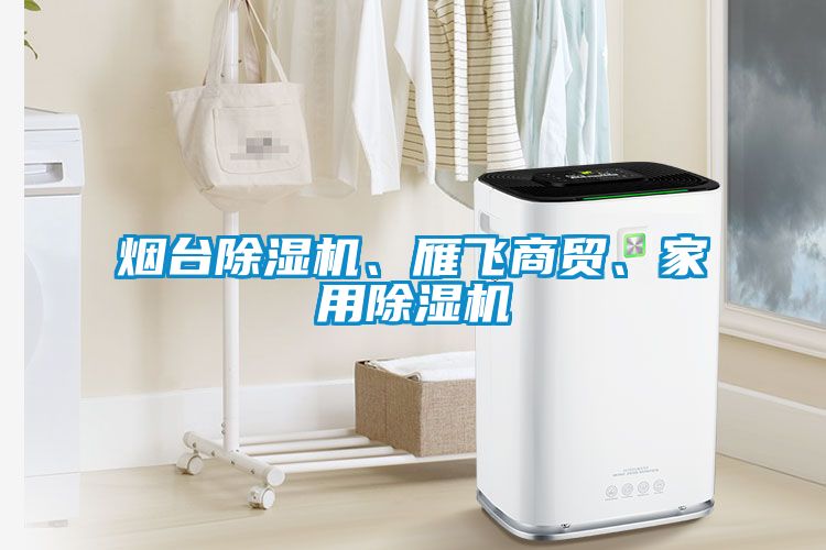 煙臺除濕機、雁飛商貿(mào)、家用除濕機