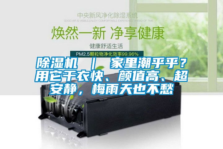 除濕機 ｜ 家里潮乎乎？用它干衣快、顏值高、超安靜，梅雨天也不愁