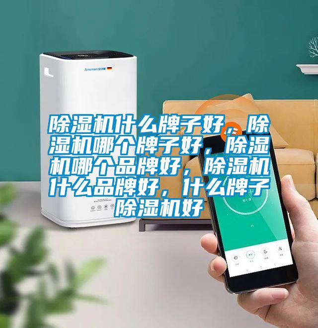 除濕機(jī)什么牌子好，除濕機(jī)哪個(gè)牌子好，除濕機(jī)哪個(gè)品牌好，除濕機(jī)什么品牌好，什么牌子除濕機(jī)好