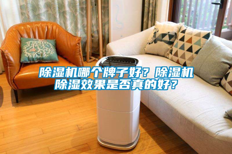 除濕機哪個牌子好？除濕機除濕效果是否真的好？