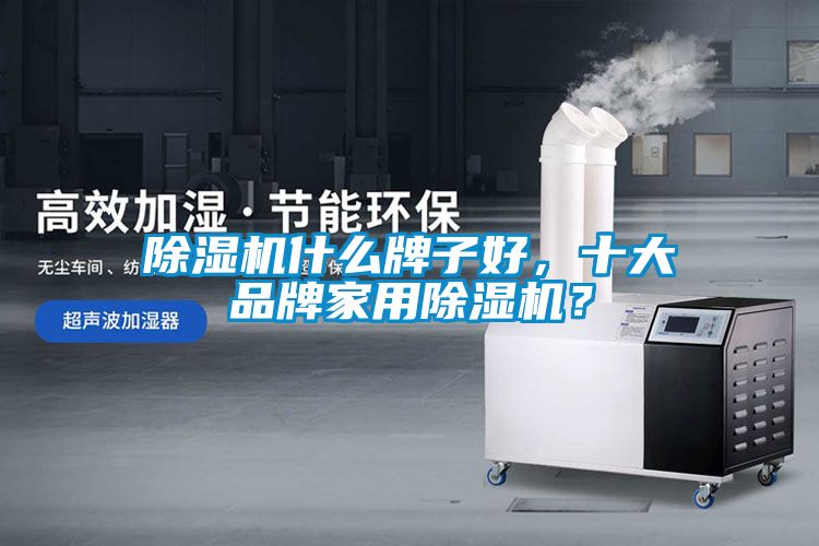 除濕機(jī)什么牌子好，十大品牌家用除濕機(jī)？