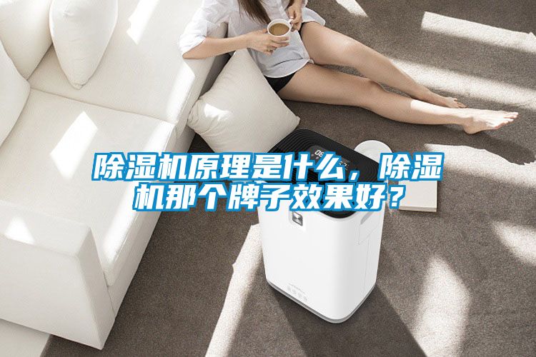 除濕機(jī)原理是什么，除濕機(jī)那個(gè)牌子效果好？