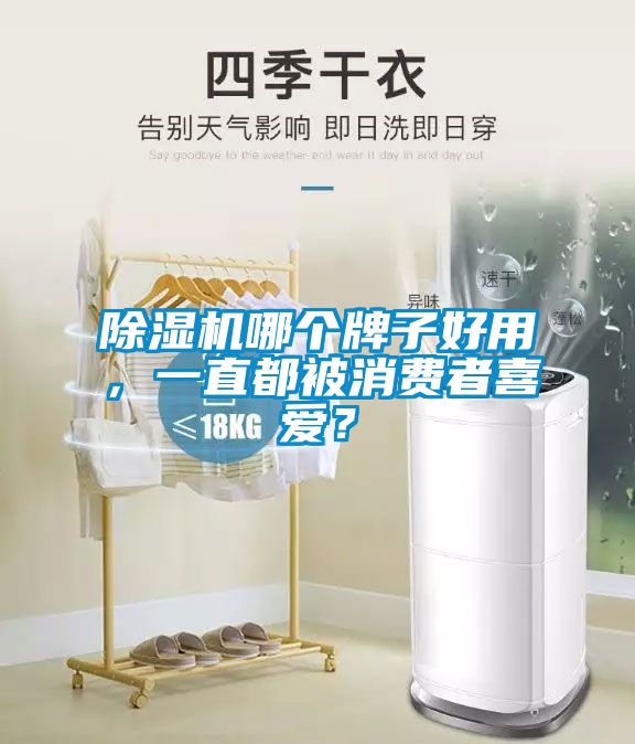 除濕機哪個牌子好用，一直都被消費者喜愛？