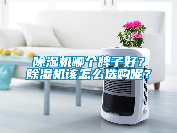 除濕機哪個牌子好？除濕機該怎么選購呢？