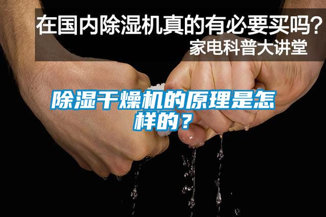 除濕干燥機的原理是怎樣的？