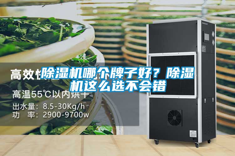 除濕機哪個牌子好？除濕機這么選不會錯