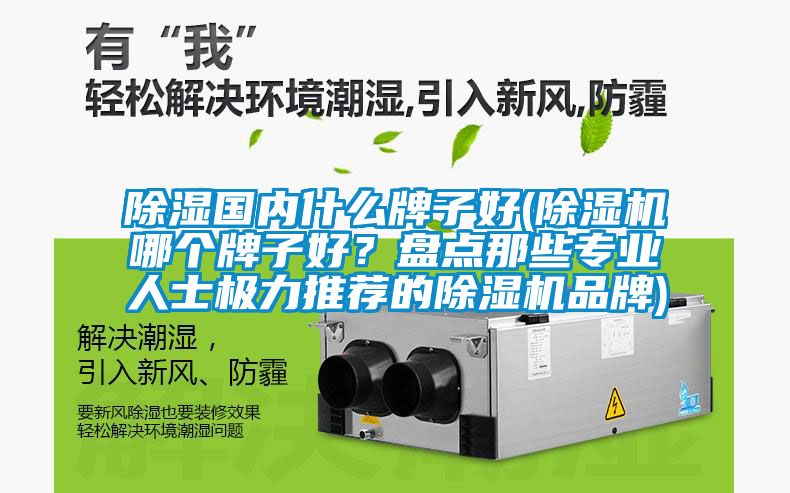 除濕國(guó)內(nèi)什么牌子好(除濕機(jī)哪個(gè)牌子好？盤(pán)點(diǎn)那些專(zhuān)業(yè)人士極力推薦的除濕機(jī)品牌)
