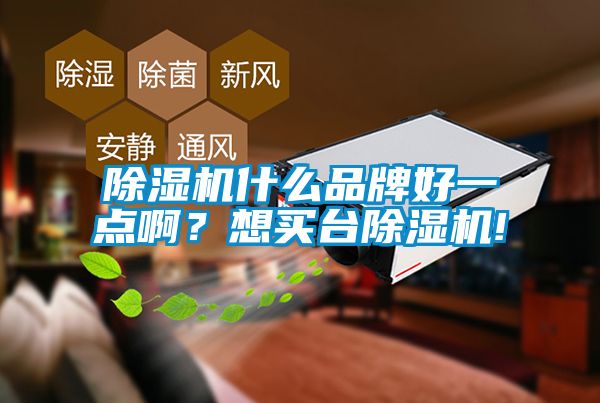 除濕機什么品牌好一點??？想買臺除濕機!