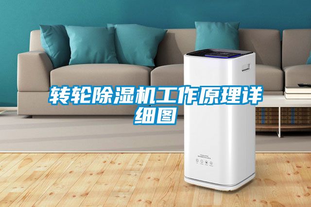 轉(zhuǎn)輪除濕機工作原理詳細(xì)圖