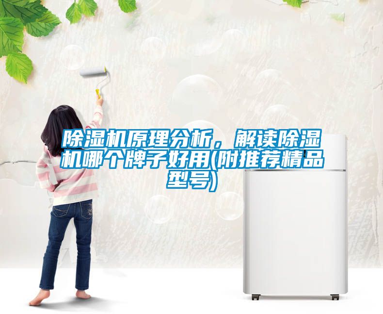 除濕機原理分析，解讀除濕機哪個牌子好用(附推薦精品型號)