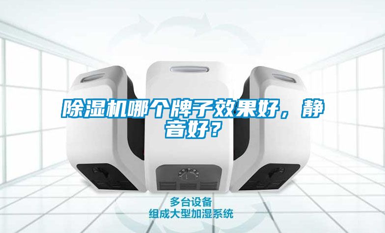除濕機(jī)哪個(gè)牌子效果好，靜音好？
