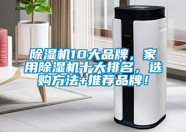 除濕機(jī)10大品牌，家用除濕機(jī)十大排名，選購方法+推薦品牌！