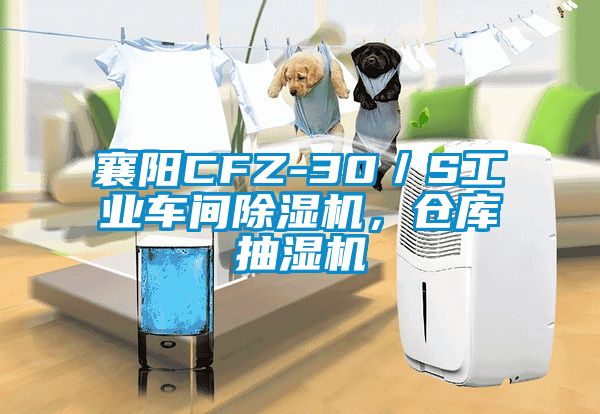 襄陽(yáng)CFZ-30／S工業(yè)車間除濕機(jī)，倉(cāng)庫(kù)抽濕機(jī)