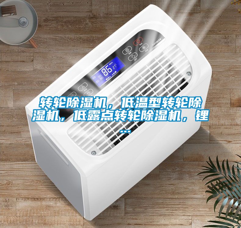 轉(zhuǎn)輪除濕機，低溫型轉(zhuǎn)輪除濕機，低露點轉(zhuǎn)輪除濕機，鋰 ...