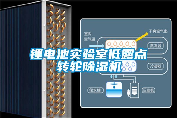 鋰電池實驗室低露點轉(zhuǎn)輪除濕機(jī)