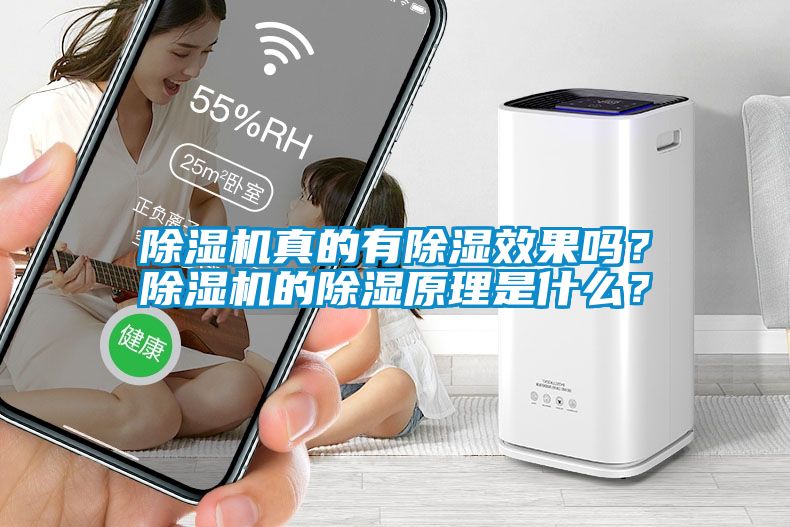 除濕機真的有除濕效果嗎？除濕機的除濕原理是什么？