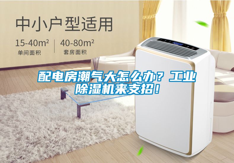配電房潮氣大怎么辦？工業(yè)除濕機來支招！