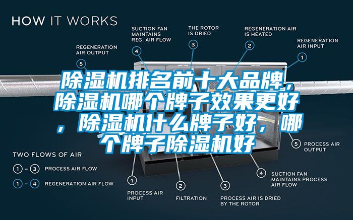 除濕機排名前十大品牌，除濕機哪個牌子效果更好，除濕機什么牌子好，哪個牌子除濕機好