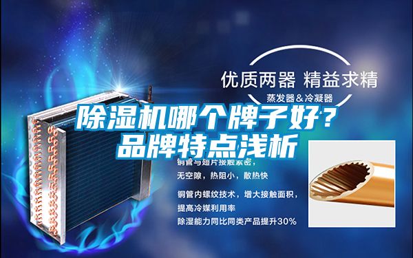 除濕機(jī)哪個(gè)牌子好？品牌特點(diǎn)淺析
