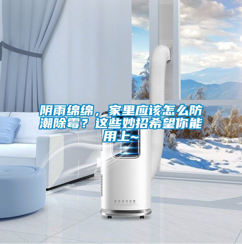 陰雨綿綿，家里應(yīng)該怎么防潮除霉？這些妙招希望你能用上~