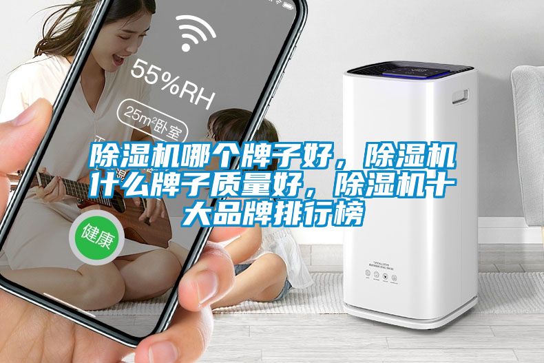 除濕機(jī)哪個(gè)牌子好，除濕機(jī)什么牌子質(zhì)量好，除濕機(jī)十大品牌排行榜