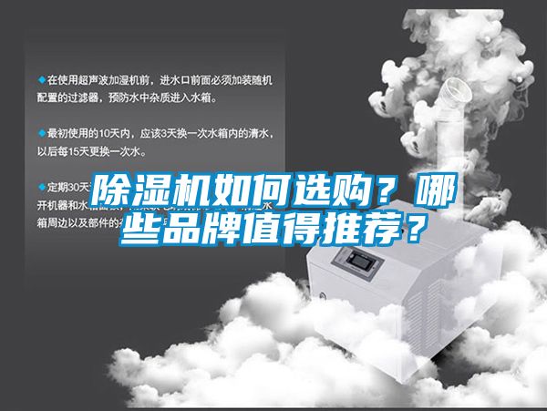 除濕機(jī)如何選購(gòu)？哪些品牌值得推薦？