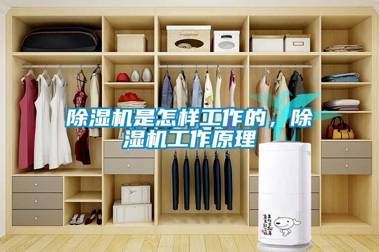 除濕機是怎樣工作的，除濕機工作原理