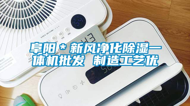 阜陽＊新風(fēng)凈化除濕一體機批發(fā) 制造工藝優(yōu)