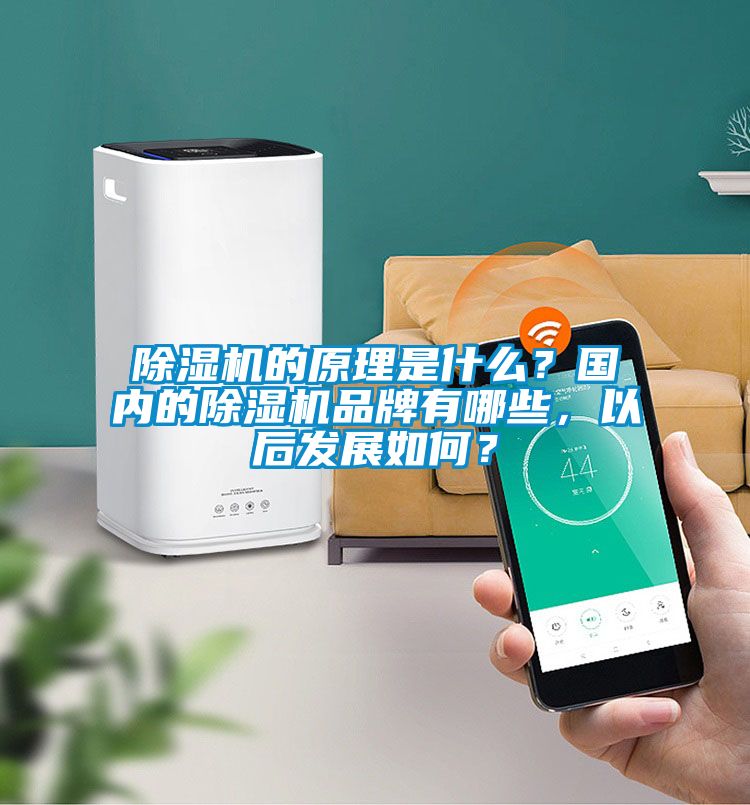 除濕機的原理是什么？國內(nèi)的除濕機品牌有哪些，以后發(fā)展如何？