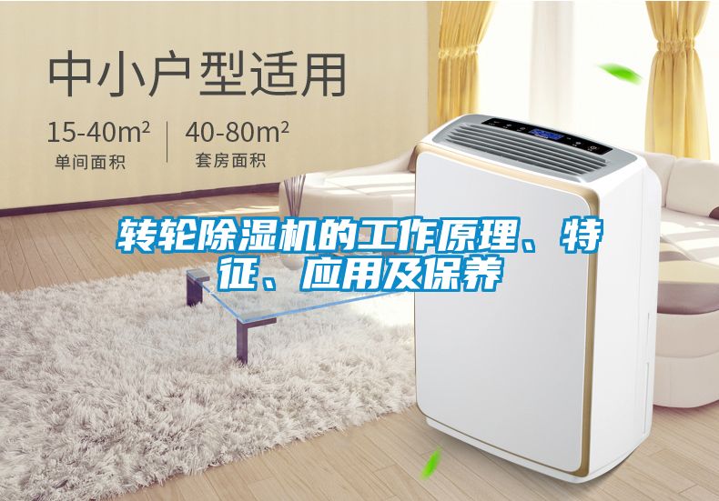 轉輪除濕機的工作原理、特征、應用及保養(yǎng)