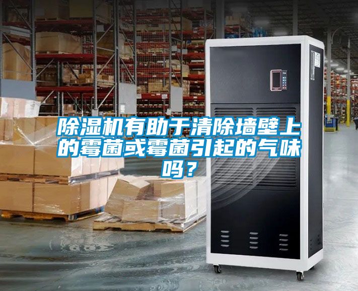除濕機有助于清除墻壁上的霉菌或霉菌引起的氣味嗎？