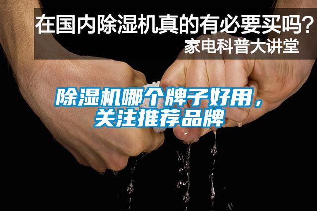 除濕機哪個牌子好用，關注推薦品牌