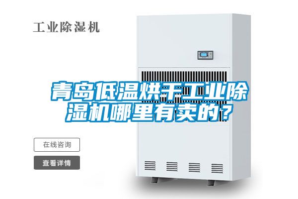 青島低溫烘干工業除濕機哪里有賣的？