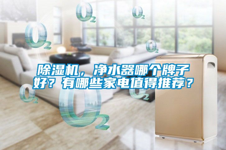 除濕機，凈水器哪個牌子好？有哪些家電值得推薦？