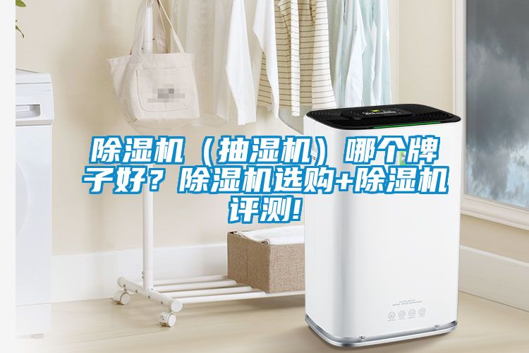 除濕機(jī)（抽濕機(jī)）哪個(gè)牌子好？除濕機(jī)選購+除濕機(jī)評測!