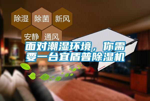 面對潮濕環境，你需要一臺宜盾普除濕機
