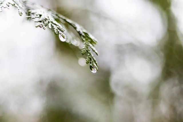 空氣濕度大帶來的危害有哪些，你知道嗎？